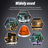 Nouvelle Vente Directe Usine : Feu de Camion Décoratif en Plastique, Effet Pastèque, Lumière Ambre, DC12V/24V, Haute Qualité, pour Semi-Remorque, Garantie 1 An