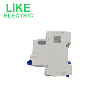 NXB-63 2P C type 63A interrupteur d'air petit disjoncteur protecteur comme électrique