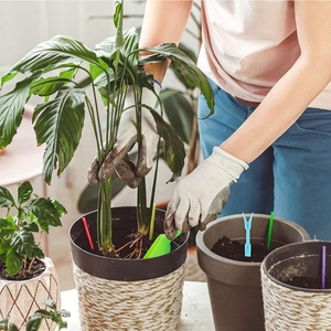 Outils de jardin <span class=keywords><strong>en</strong></span> <span class=keywords><strong>plastique</strong></span> personnalisés, ensemble de jardinage OEM, pelle, râteau, truelle <span class=keywords><strong>pour</strong></span> la plantation, le creusement, la transplantation et l'aménagement paysager - Product Image 5