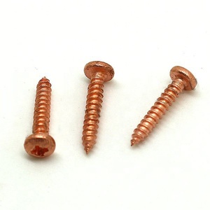 สกรูหัวเหล็กทองแดงแบบกำหนดเองสำหรับงานไม้ - Product Image 3