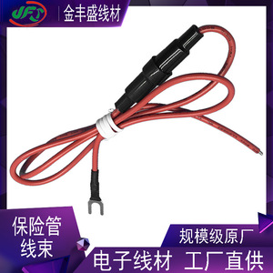 Jinfengsheng Automotive Wiring Harness 2.8mm PHB Terminal 12V Electric Vehicle With Fuse PVC Insulation - Product Image 3