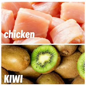 ספקי ODM סיטונאיים מסייעים לעיכול, פירות יבשים למזון כלבים, חטיפי האכלה, אימון, חטיפי כלבים, תזונה, עוף, קיווי, חטיפים לחיות מחמד - Product Image 4