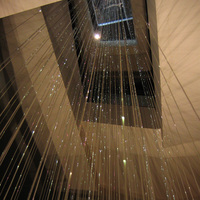 Rideau décoratif de Fiber optique de câble lumineux de haute qualité