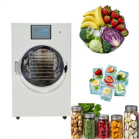 Lyophilisateur de laboratoire domestique de séchoir à congélateur sous vide automatique de Type Mini pour la transformation des légumes alimentaires Chine lyophilisation Miniature 220V