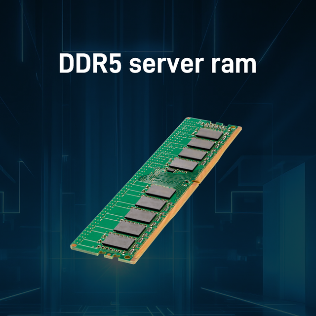 128gb Ddr5 ram AD213494 128GB DDR5-5600/PC5-44800 ECC Registered 288-Pin RDIMM CL46 1.1V Dual Rank X4 Memory Module