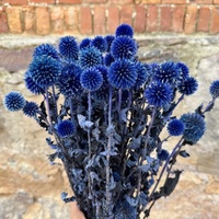 Chardon bleu séché en vrac, fleurs séchées naturelles et durables pour bouquets, mariages, décoration intérieure, vente en gros