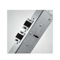 Porte d'entrée double contemporaine haut de gamme avec une construction de haute qualité, taille personnalisée et accès facile, conçue pour l'entrée de cour