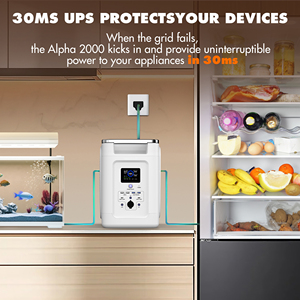 Unité principale Alpha2000 connectée <span class=keywords><strong>en</strong></span> série-parallèle à l'unité secondaire Alpha2000X pour système de générateur <span class=keywords><strong>solaire</strong></span> - Product Image 6