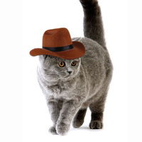 Chapeau de cowboy occidental personnalisable avec logo en polyester à motif floral pour chiens - Accessoire parfait pour animaux de compagnie pour l'été, l'hiver, le printemps et l'automne