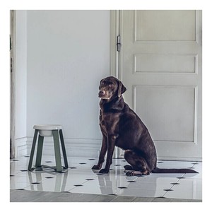 Eco-Friendly Ceramic Dog & <b>Cat</b> <b>Elevated</b> <b>Bowl</b> Shop's Popular & Hot Selling Accessory for Big Tall Pets Water Stand Raised Feeder - Product Image 1