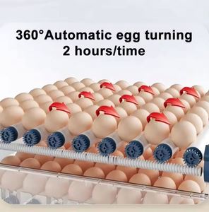 Incubadora de <span class=keywords><strong>Huevos</strong></span> Máquina de Eclosión para Aves de Corral Nacedora para <span class=keywords><strong>Huevos</strong></span> de Pollo - Product Image 6