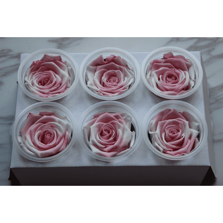 Ragazza timida rossa