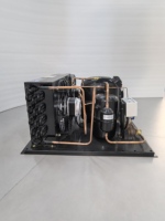220-240V 50Hz Unidad de condensación 2hp Tecumseh Compresor Cámara frigorífica