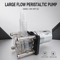 Pompe péristaltique à grand débit 500 ml/min, best-seller, installation facile, pompe péristaltique 12V/24V, pompe doseuse, pompe à vide