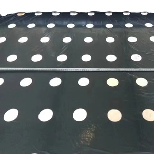 <span class=keywords><strong>Film</strong></span> plastique agricole perforé pour paillis de plantation - Product Image 1