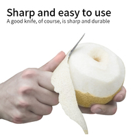 Ensemble de 3 couteaux à steak dentelés, couteau à fruits de cuisine, vente en gros, manche en plastique, couteaux en acier inoxydable