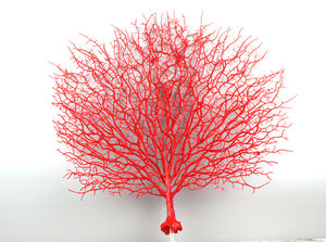 Qslh V988 Artificiale Asciutto Ramo di Un Albero Bianco Naturale Ramo di Corallo per La Decorazione - Product Image 6