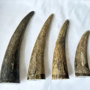 ชุดตกแต่งรูปสัตว์คู่กับสายรัดสำหรับเครื่องประดับเครื่องแต่งกายในราคาขายส่งโดยหัตถกรรมโซนส่งออก - Product Image 2