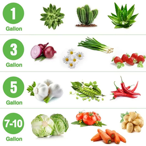 Sacs <span class=keywords><strong>de</strong></span> culture en tissu personnalisés pour plantes, 3, 5, 7, 10 gallons, pour légumes, tomates, fraises, plantes <span class=keywords><strong>de</strong></span> jardin et pommes <span class=keywords><strong>de</strong></span> terre - Product Image 5