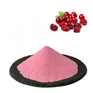 Lowest Price Cranberry Concentrate Fruit Juice Powder Cranberry Juice Powder Cranberry Fruit Powder