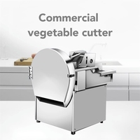 KR Coupe-Légumes Multifonction en Acier Inoxydable 220V, Machine à Couper les Légumes-Feuilles pour Pommes de Terre, Carottes, Persil, Épinards