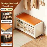 Banc à chaussures moderne et minimaliste en acier, anti-poussière, avec rangement intégré pour l'entrée de la maison, armoire basse tout-en-un