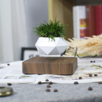 Maceta Eléctrica Magnética Levitante para Bonsái, Soporte Flotante de Plástico ABS para Plantas, Levitación de 10-15 mm para Jardín y Hogar, Más Vendida