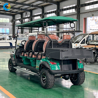 Voiturette de golf électrique Robetaa 6 places, batterie lithium 48V, certifiée CE, Club Car Precedent