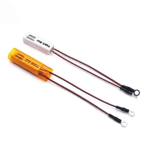 Tianrui With yellow sleeve polyimide Straightener hair dryer F240C temperature fuse ceramic thermal fuse furmal fuse