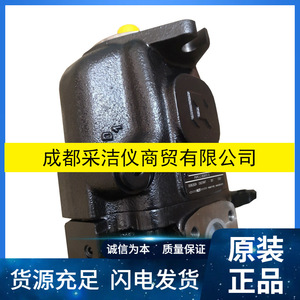 Bomba de aceite hidráulica Atos Vane Pump Pfe-51150/3dv para prensas de estampado, cuerpo de hierro fundido, accionamiento eléctrico. - Product Image 5