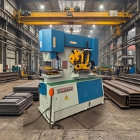 Máquina Punzonadora y Cizalladora Hidráulica CNC Combinada, Máquina Punzonadora Hidráulica para Hierro, Punzonadoras Hidráulicas para Hierro