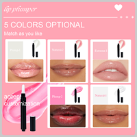 Nouveaux Arrivages Meilleure Vente Produit de Maquillage Repulpeur de Lèvres Stylos Gloss Repulpant Vos Lèvres Étiquette Privée Gloss Brillant Lèvres Repulpées