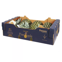 Carton d'expédition pour ananas frais, carton ondulé robuste, boîte d'emballage pour fruits, pour l'approvisionnement agricole