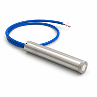 Vibrating Wire Piezometer Stainless Steel Pore Water Pressure Sensor for Dam Tunnel Slope Monitoring