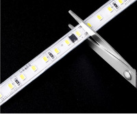 Bande LED pleine couleur 120 LED/m RGB adressable et flexible pour enseignes lumineuses DIY