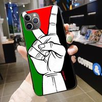 Coque de Téléphone Mobile avec Impression TPU Drapeau et Carte de la Palestine pour iPhone 17promax 17, Compatible avec iPhone 12 13 14 15 16 Plus Pro Max et Tous Types de Coques de Téléphone