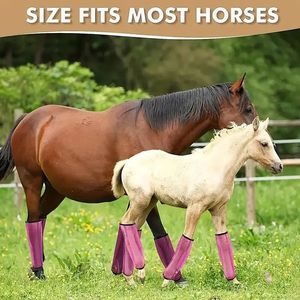 Protectores de Patas de Caballo de Malla de PVC Transpirable en Stock con Diseño Anti-Fricción y Refrigerante para Pastoreo en Praderas y Control de Plagas - Product Image 5