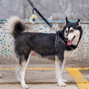 SinSky taşınabilir köpek kaka torbası dağıtıcı biyobozunur kılıfı Pet köpek <span class=keywords><strong>Doggy</strong></span> Pick <span class=keywords><strong>Up</strong></span> Poop çanta tutucu evcil malzemeleri çöp torbaları - Product Image 6