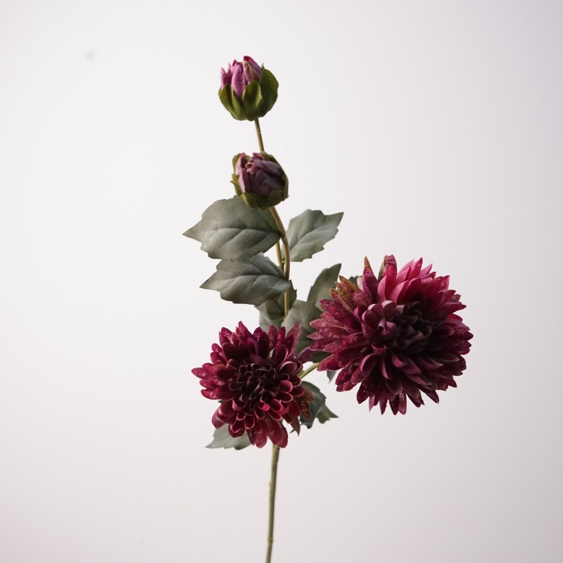 4 head cornflower-dark purple