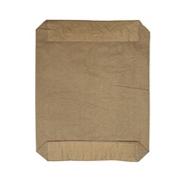 Sacs à valve en papier kraft vides 25 kg
