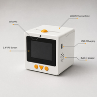 Mini-imprimante thermique vocale IA pour enfants, écran IPS 2,4 pouces, Wi-Fi, rechargeable, sans encre, jouet éducatif, Type-C, OEM ODM, à partir de 8 ans