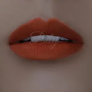 Matte Lip Gloss Qualità Eccellente Giornaliero Make Up Ultra Liscio Matte Lip Crema di Lunga Durata Lip gloss Opaco