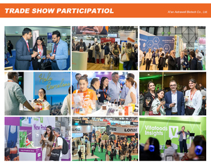 Astrawell Integratore ad Alta Purezza 99% NAD+ Nicotinamide Adenina Dinucleotide Polvere Pura di NAD - Product Image 5