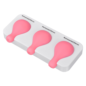 Modelo de Entrenamiento para la Posición Uterina, 3 Tipos (Antevertida, Horizontal, Retrovertida), Práctica de Procedimientos Ginecológicos, Vulcanizado - Product Image 4