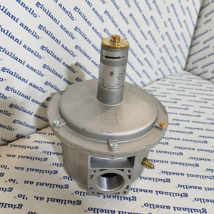 Italia Giuliani ST1B125 Reducer Nuevo con Garantía de Un Año en Stock para Piezas de Calderas - Product Image 6