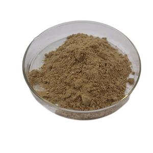 Japanese Knotweed <b>Extract</b> Resveratrol Herb <b>Extract</b> Rhizome Giant Knotweed <b>Extract</b> - Product Image 4