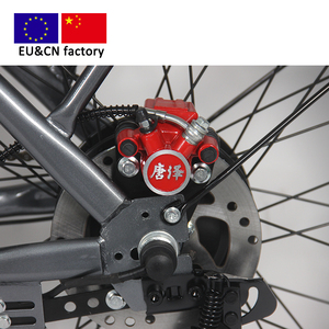 Vélo cargo électrique de 24 pouces, usine européenne, pas de droits de douane, ebike 36V/48V, moteur arrière G2008AS, nouveau modèle de vélo pedelec e - Product Image 4