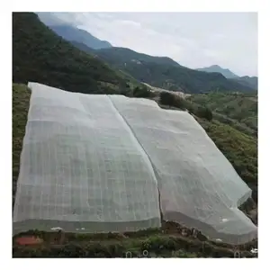 Professional Supplier Fine Building Safety Net Mosquito Net