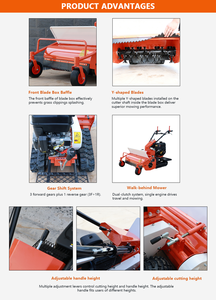 Tondeuse autoportée la <span class=keywords><strong>moins</strong></span> chère pour jardin et ferme, désherbeur et broyeur de paille avec certification CE EPA, à vendre - Product Image 4
