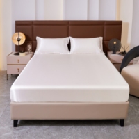 Parure de draps en satin soyeux de luxe, ultra douce et respirante, avec housse de matelas à poches profondes, pour la maison, l'hôtel et la décoration de chambre.